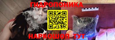 мдпв Обь