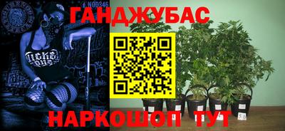 мдпв Обь