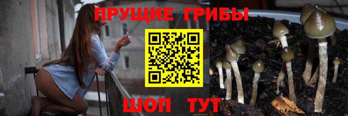 Псилоцибиновые грибы MAGIC MUSHROOMS  где купить наркоту  Тольятти  Вход с VPN 